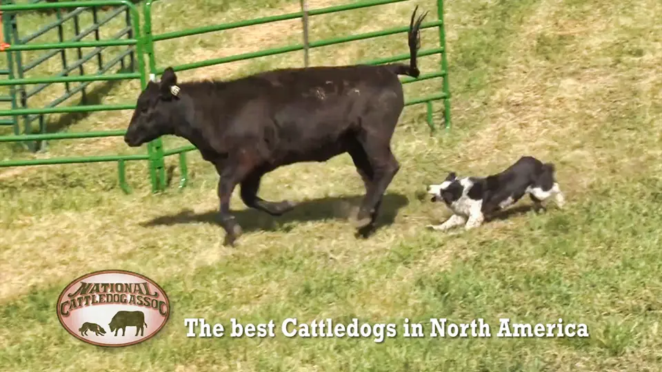 TV Commercial Video Production | LP Photo Video Omaha