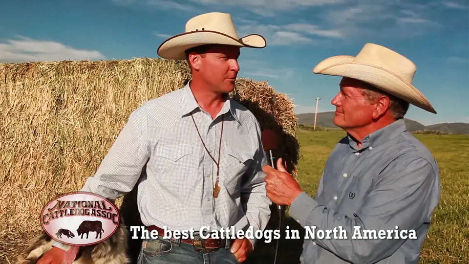 TV Commercial Video Production | LP Photo Video Omaha