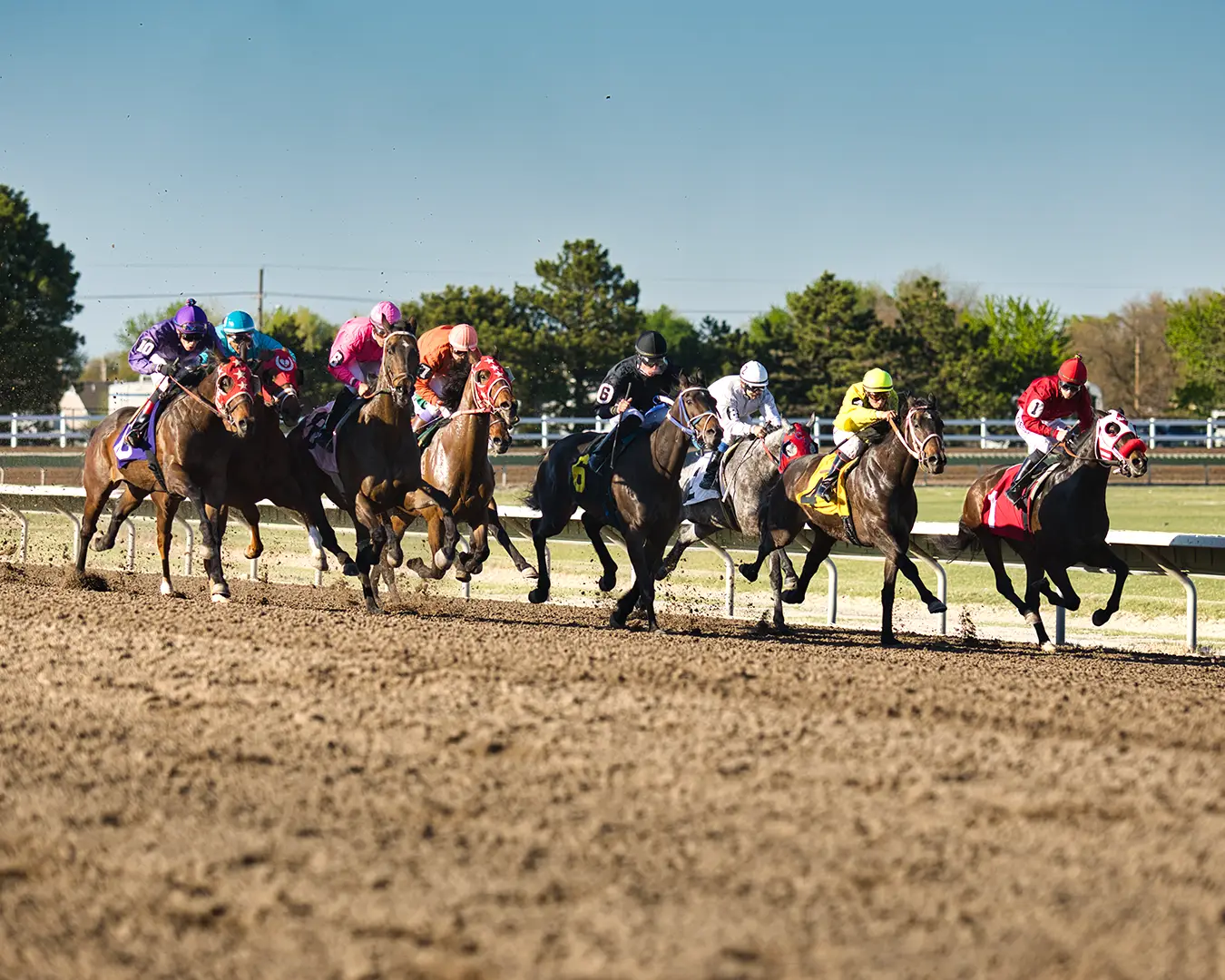 Horse Racing Photo | Professional Photographer